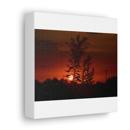 Nature Sunset Silhouette Black Canvas Gallery Wraps