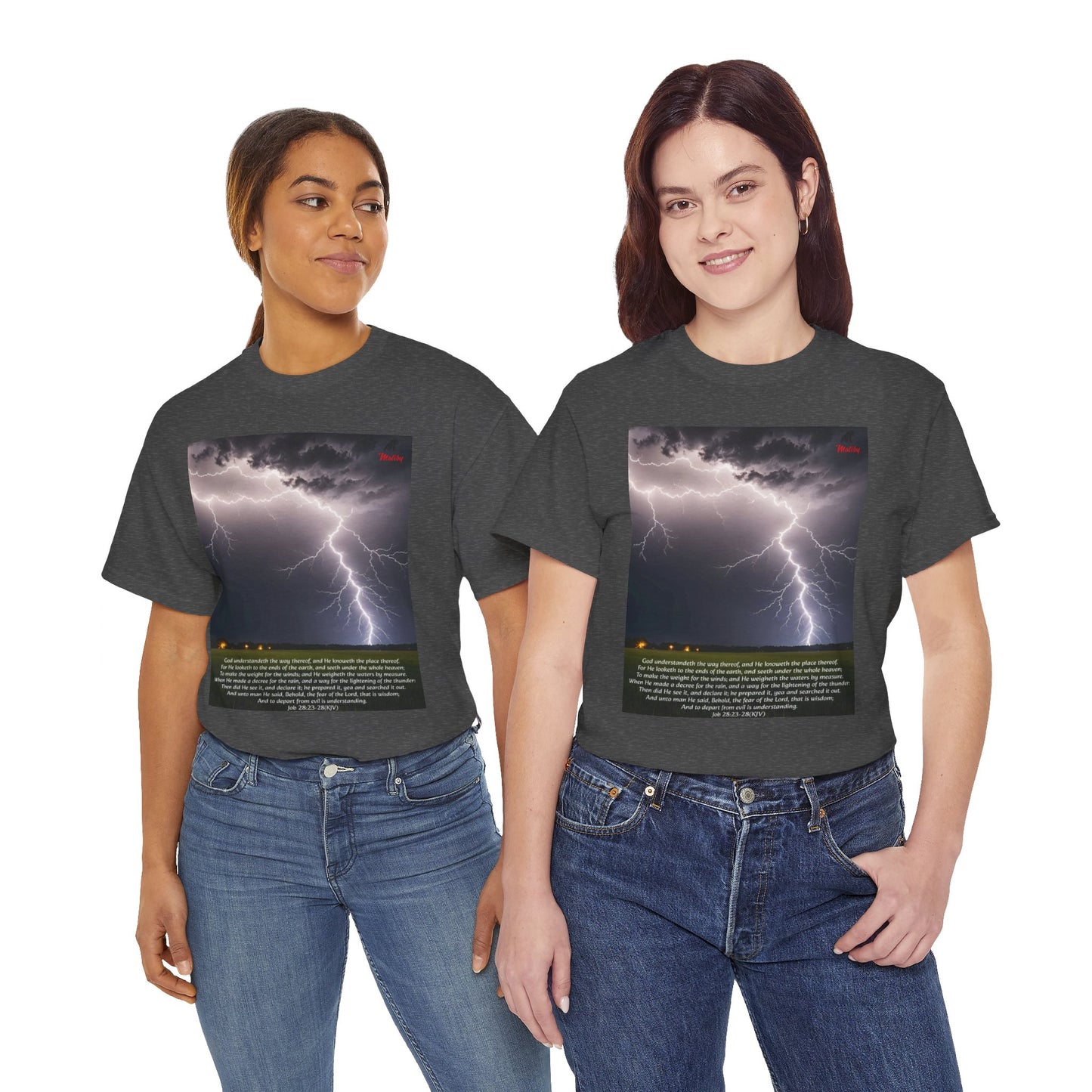 Lightning Style Fear of the Lord Unisex Heavy Cotton Tee