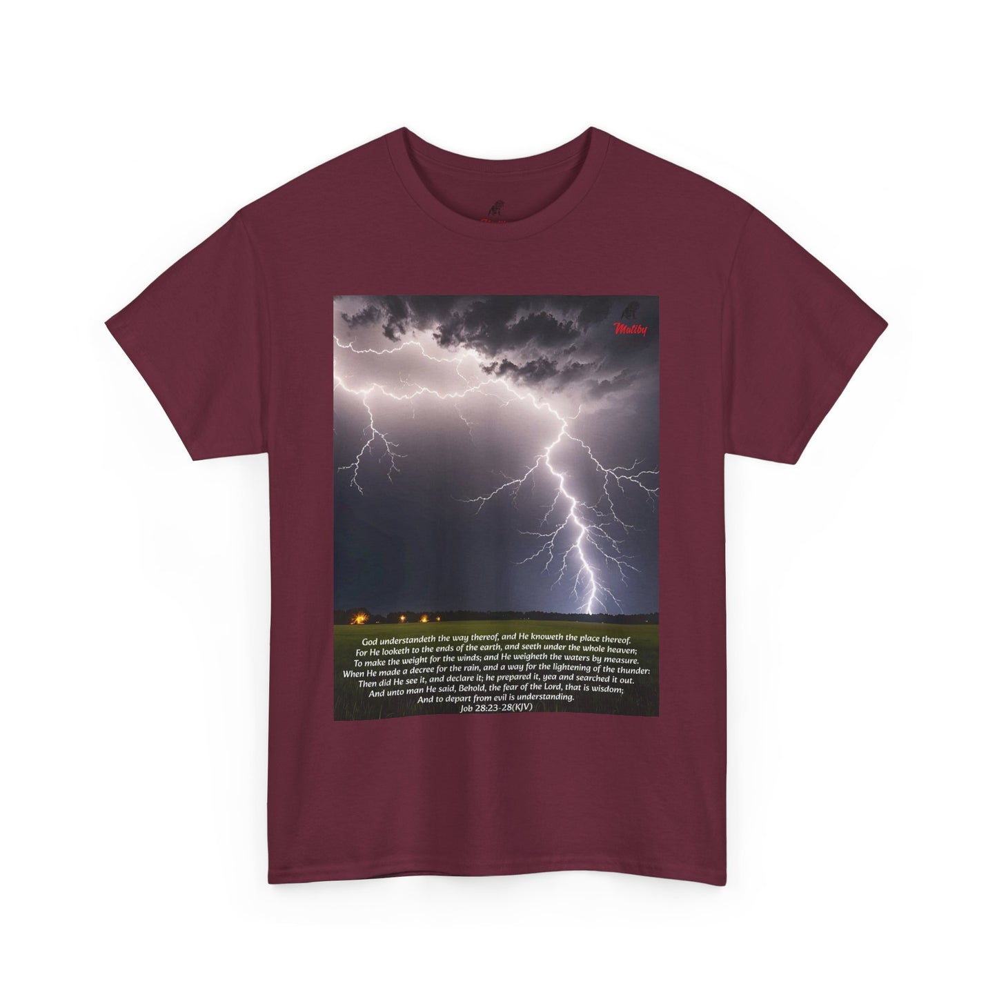 Lightning Style Fear of the Lord Unisex Heavy Cotton Tee