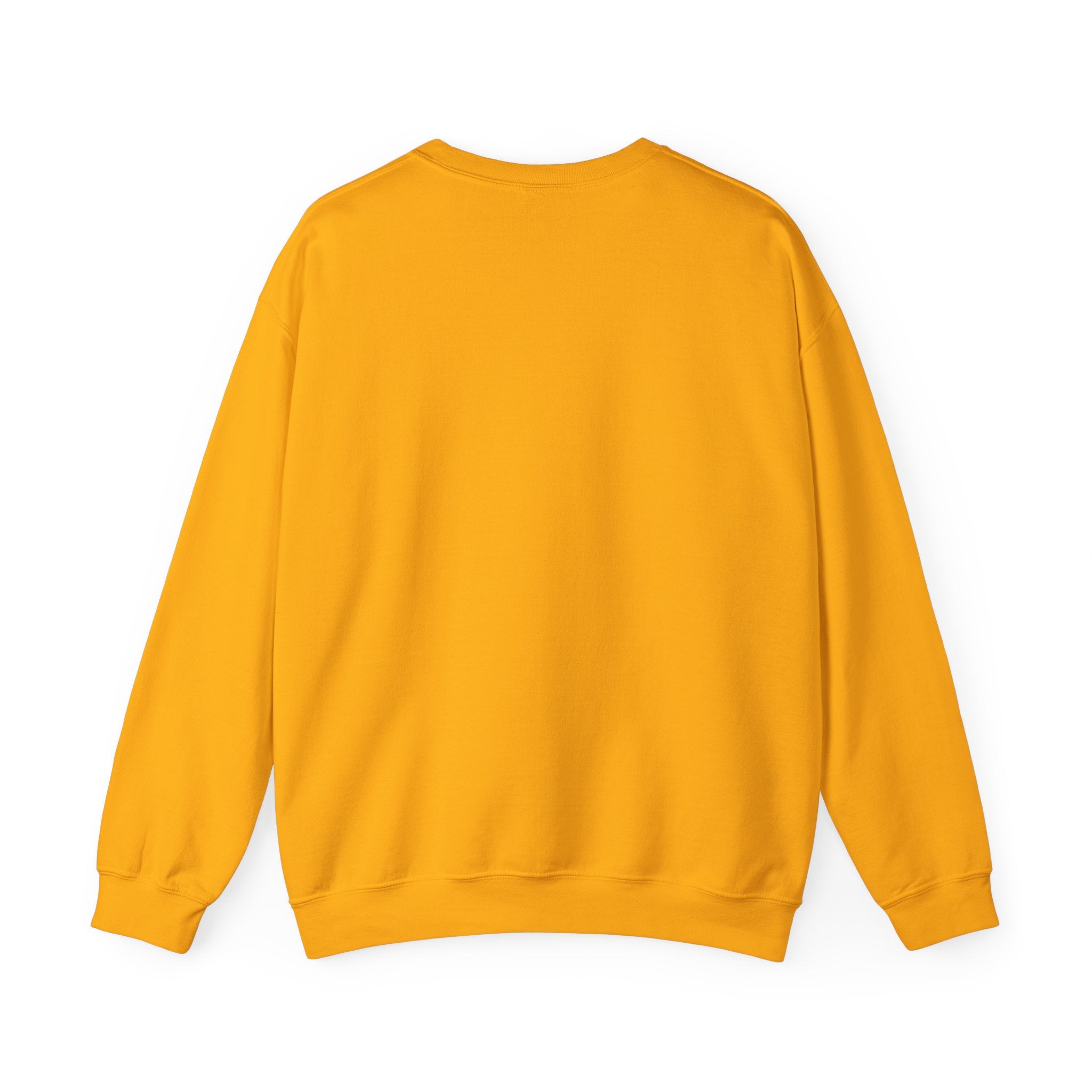 Beach Circle Crewneck Sweatshirt — Coastal Sunset Sweater
