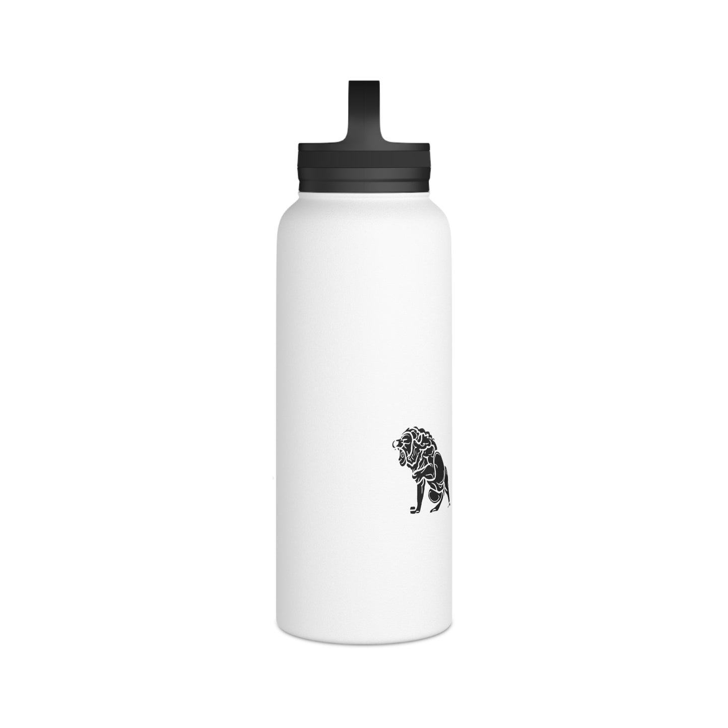 Matiby Stainless Steel Water Bottle, Handle Lid