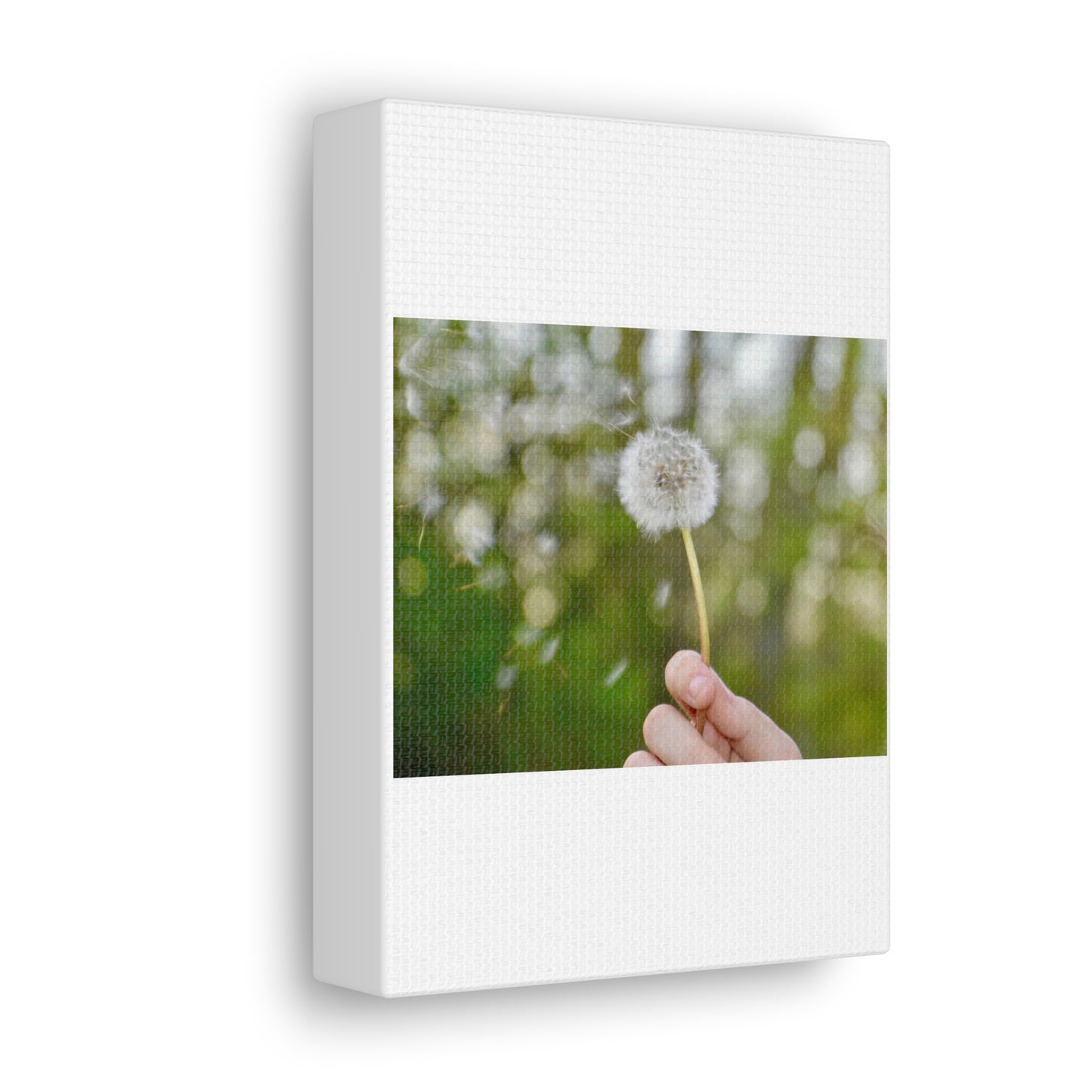 Blowing Dandelion Canvas Gallery Wraps