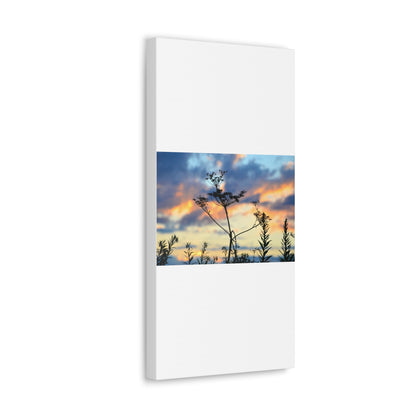 Nature Sunset Silhouette Canvas Gallery Wraps