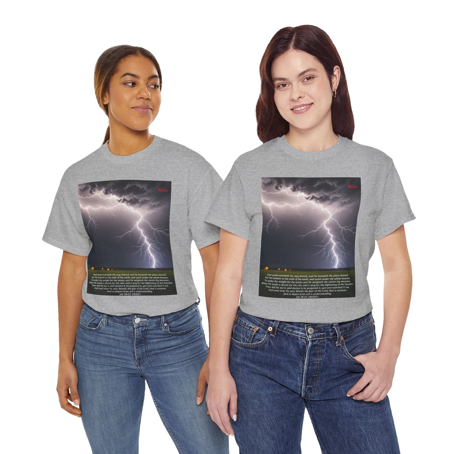 Lightning Style Fear of the Lord Unisex Heavy Cotton Tee