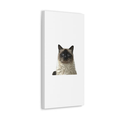 Cat White Canvas Gallery Wraps