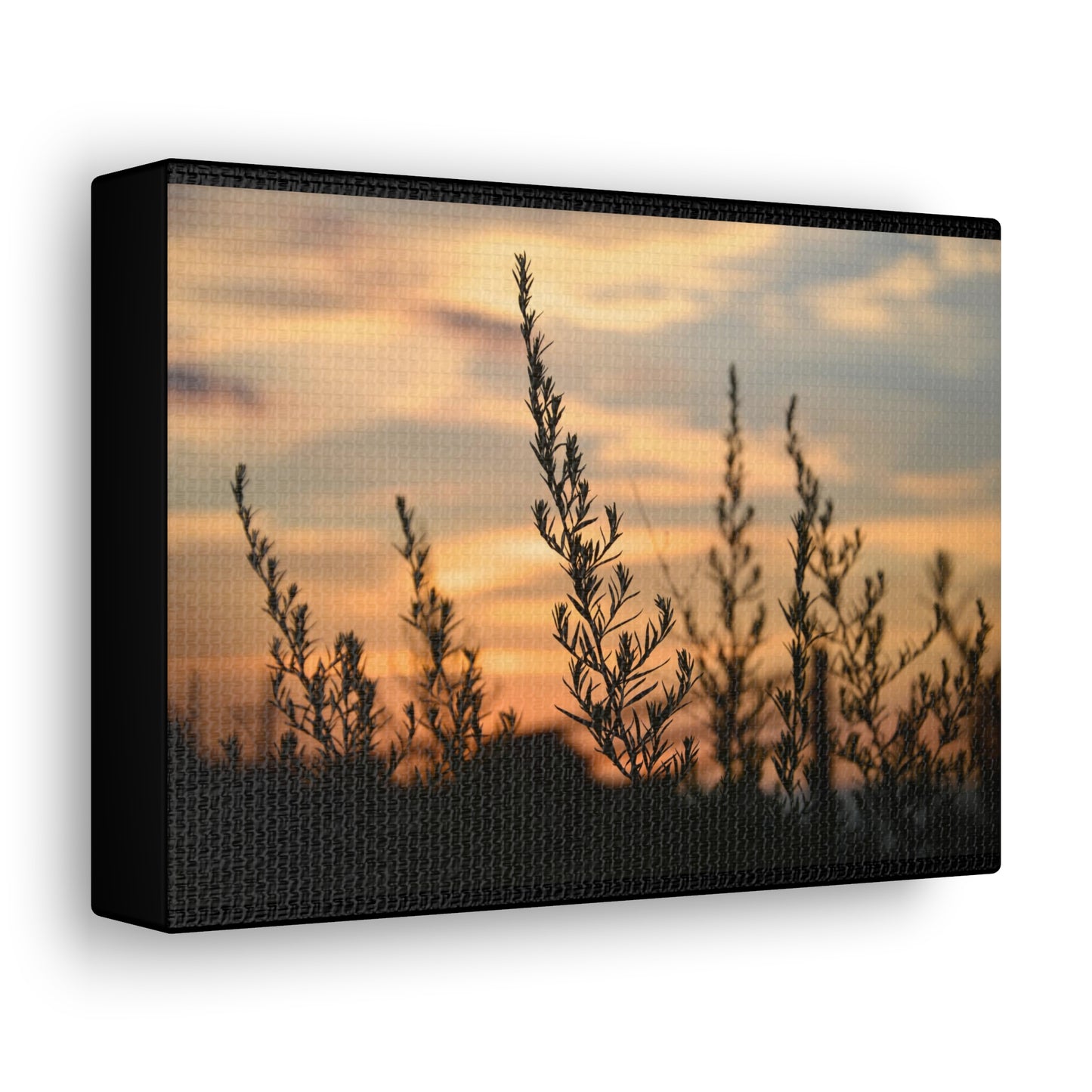 Nature Sunset Silhouette Black Canvas Gallery Wraps