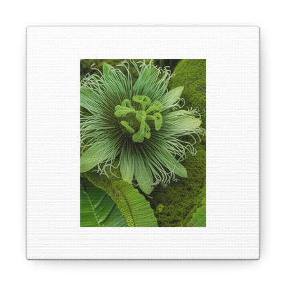 Artzy Green Flower White Canvas Gallery Wraps