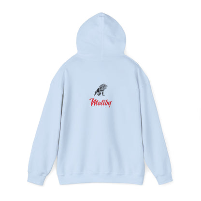 Beaks Unisex Heavy Blend™ Hooded Sweatshirt