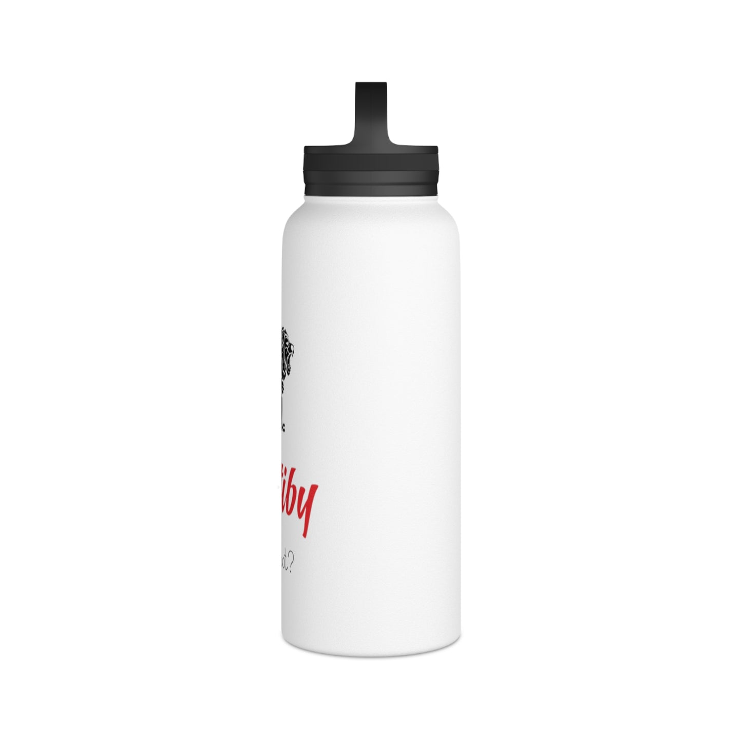 Matiby Stainless Steel Water Bottle, Handle Lid