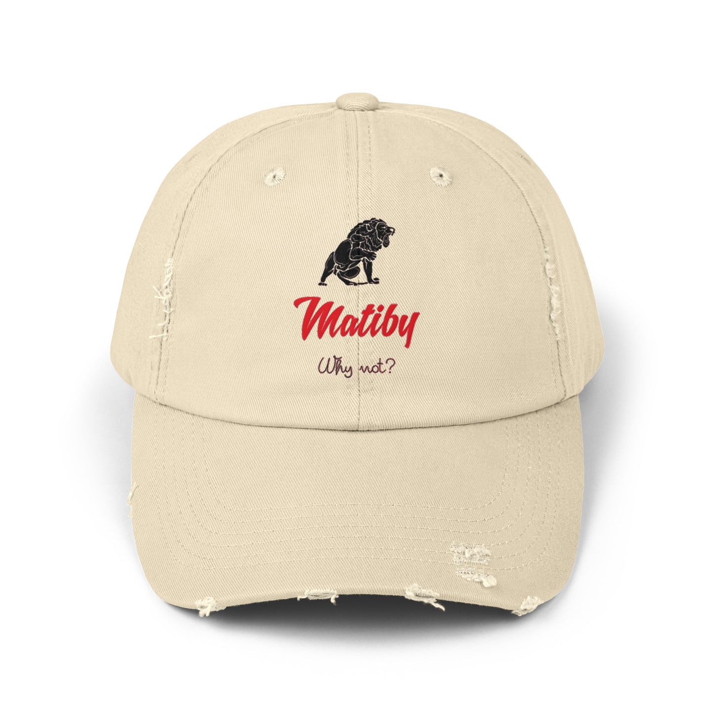 Matiby Unisex Distressed Cap