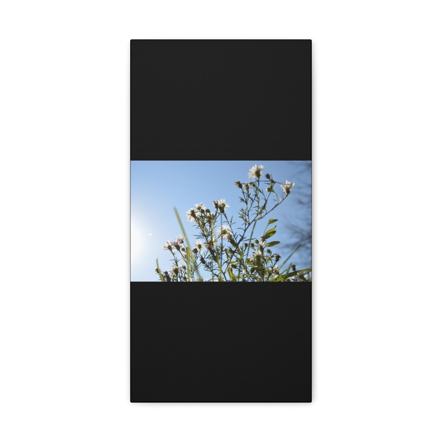 Flowery Black Canvas Gallery Wraps