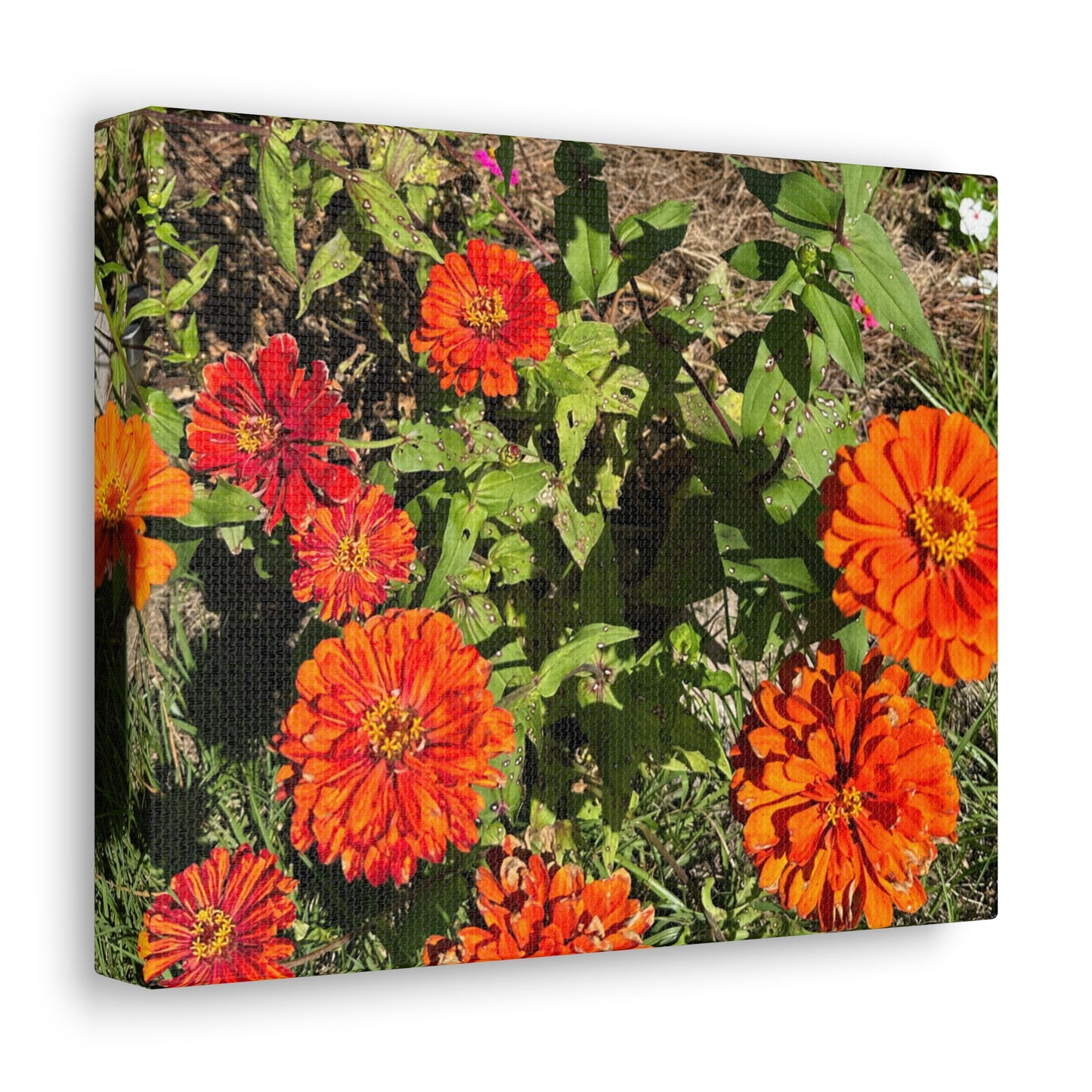 Matiby "Reals" Red Flowers Canvas Gallery Wraps