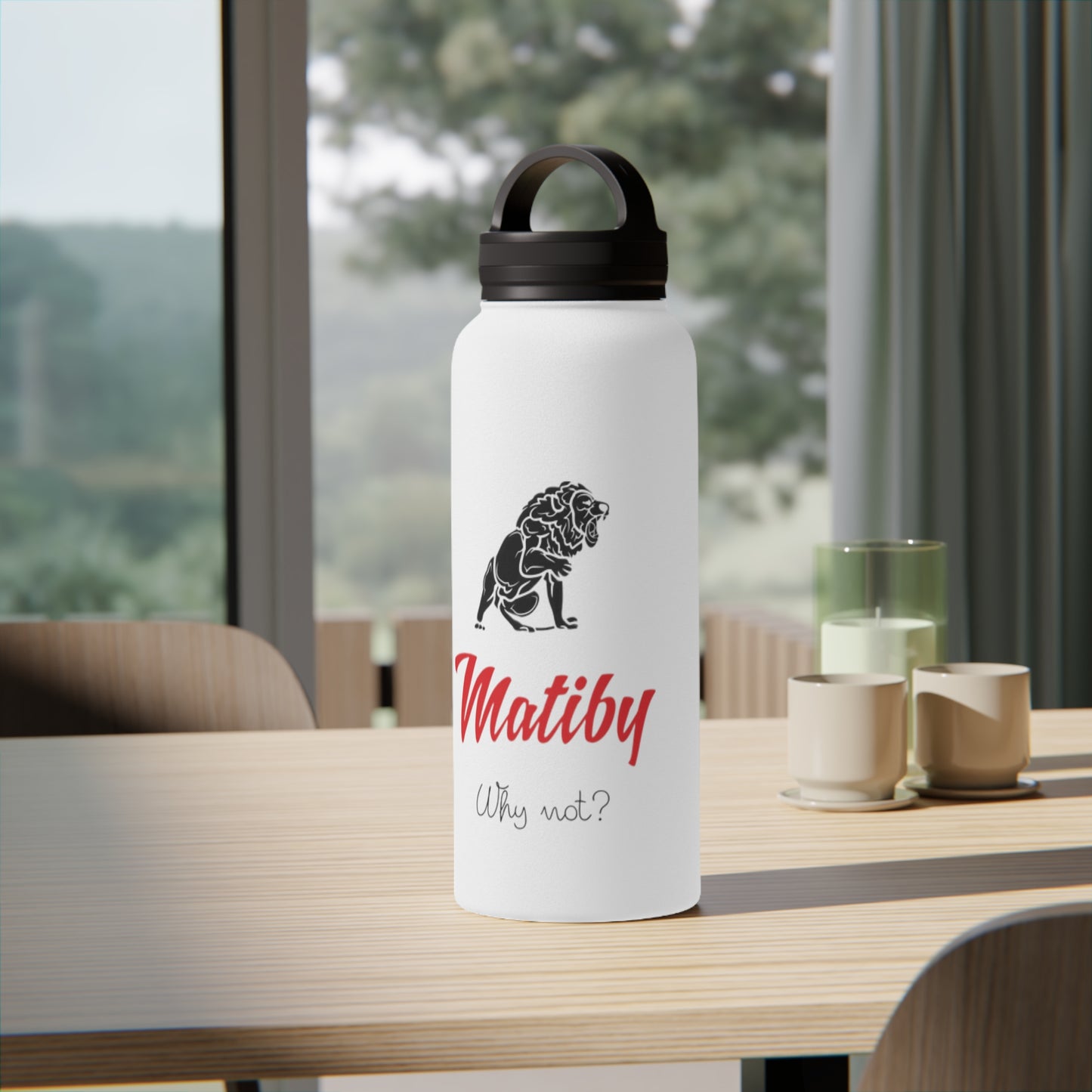 Matiby Stainless Steel Water Bottle, Handle Lid