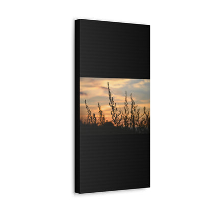 Nature Sunset Silhouette Black Canvas Gallery Wraps