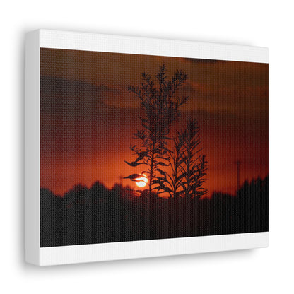 Nature Sunset Silhouette Black Canvas Gallery Wraps