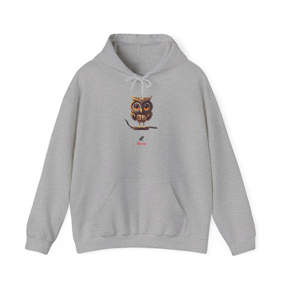 Owly Unisex Heavy Blend™ Hooded Sweatshirt