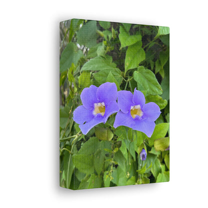 Matiby "Reals" Purple Flower Canvas Gallery Wraps