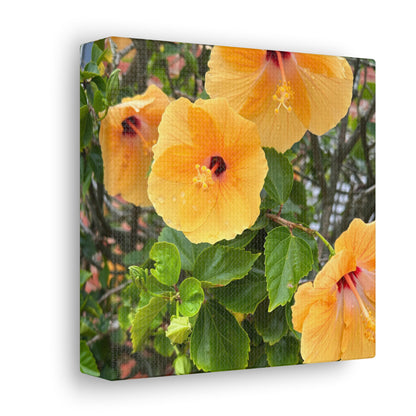 Matiby "Reals" Yellow Flower White Canvas Gallery Wraps