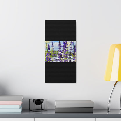 Lavenders Black Canvas Gallery Wraps