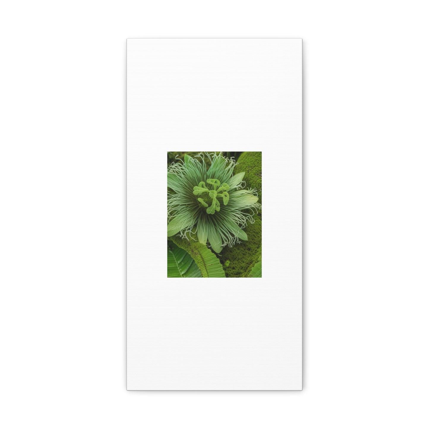 Artzy Green Flower White Canvas Gallery Wraps