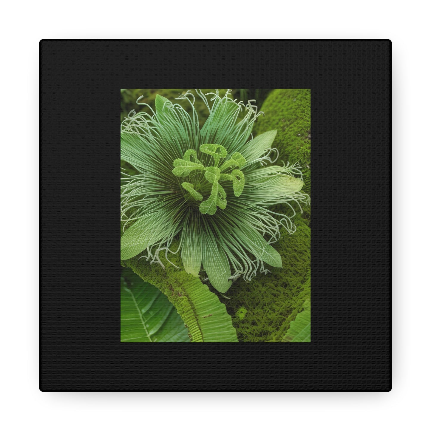 Artzy Green Flower Black Canvas Gallery Wraps