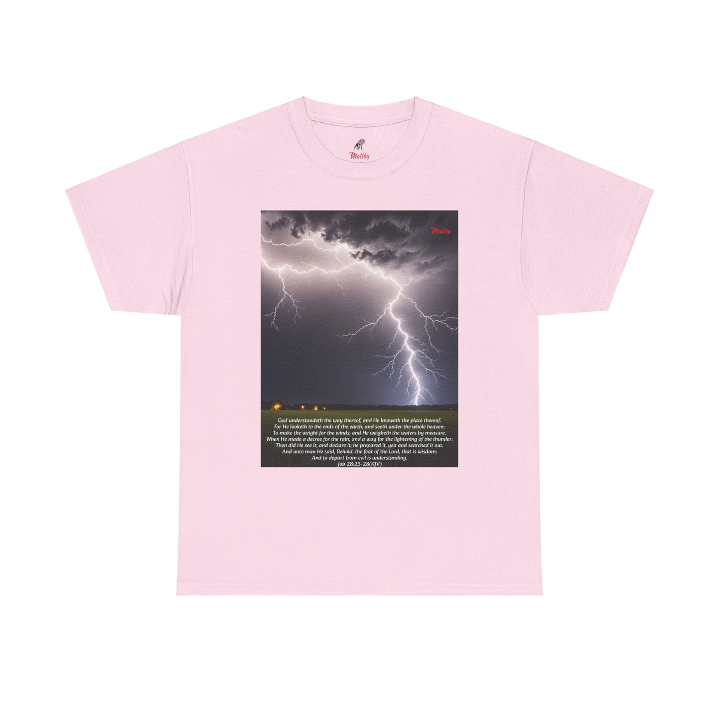 Lightning Style Fear of the Lord Unisex Heavy Cotton Tee