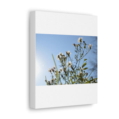 Flowery White Canvas Gallery Wraps