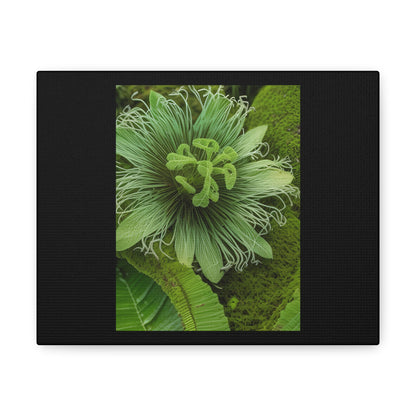 Artzy Green Flower Black Canvas Gallery Wraps