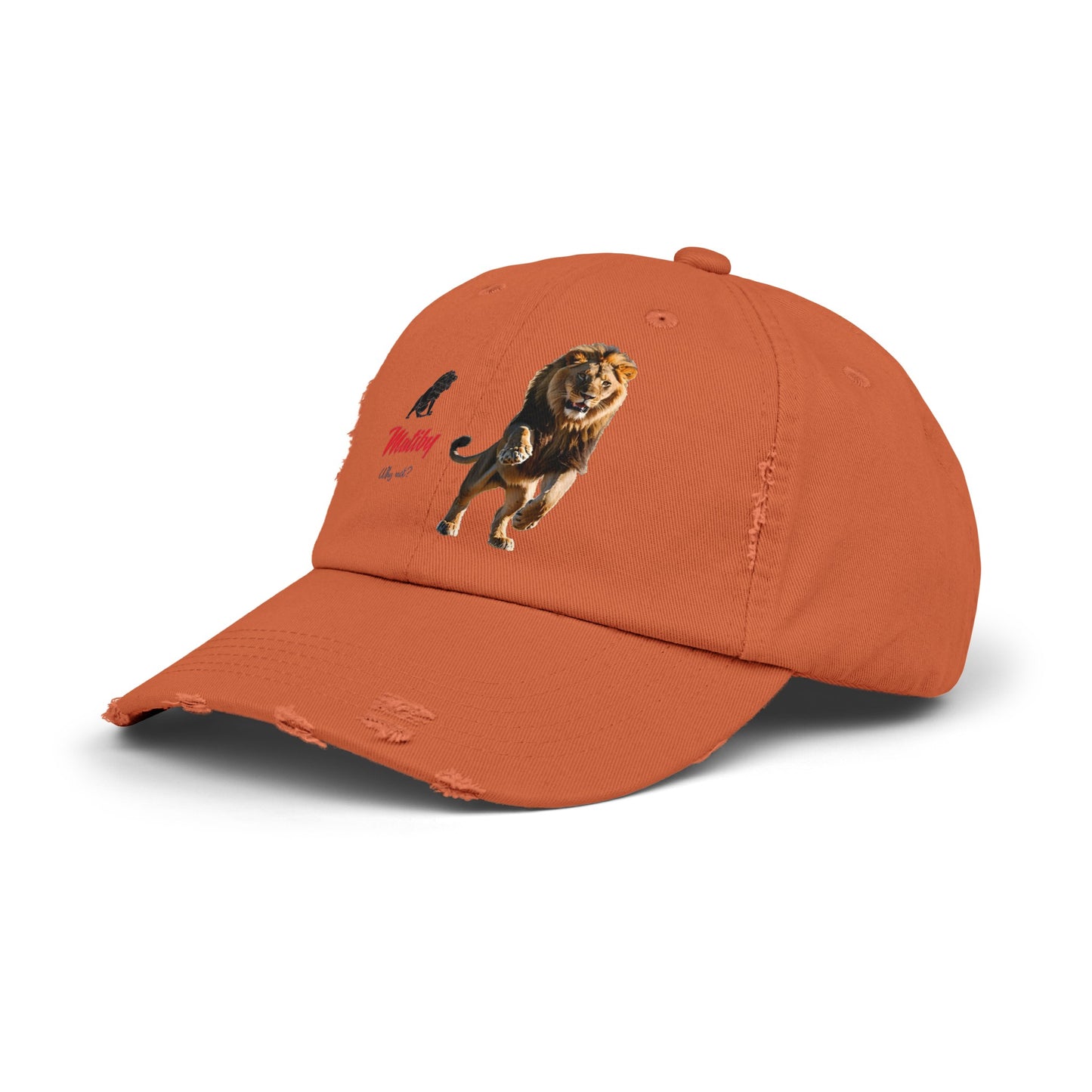 Matiby Lion Unisex Distressed Cap