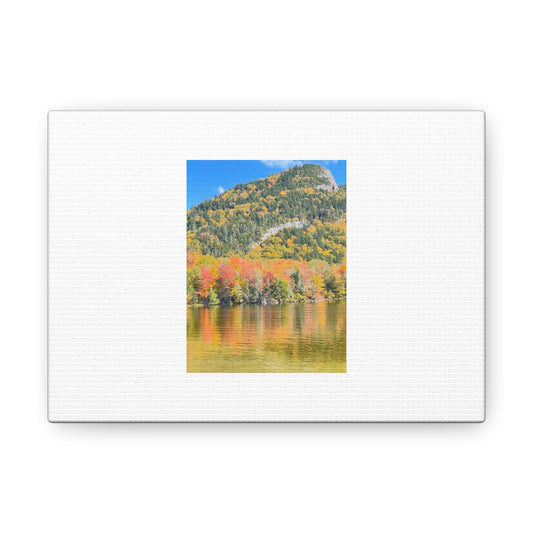 Nature Scenic White Canvas Gallery Wraps