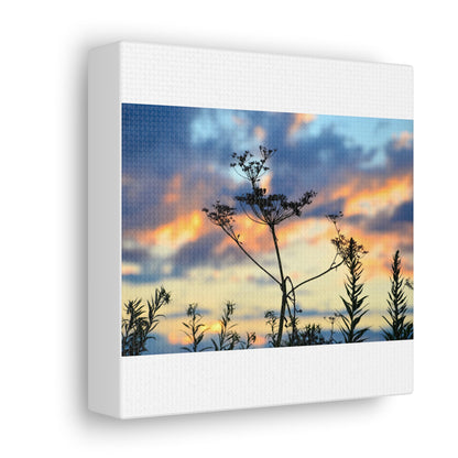 Nature Sunset Silhouette Canvas Gallery Wraps