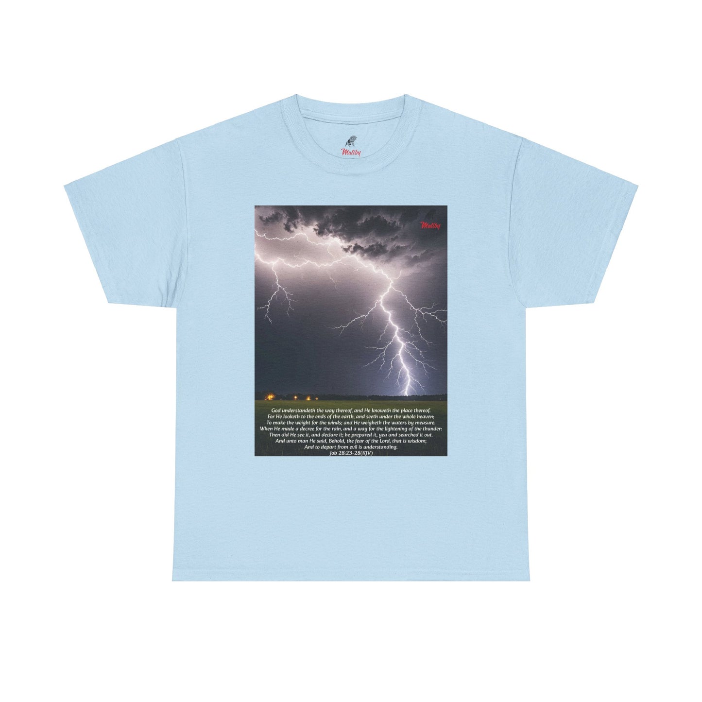 Lightning Style Fear of the Lord Unisex Heavy Cotton Tee