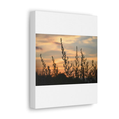 Nature Sunset Silhouette White Canvas Gallery Wraps