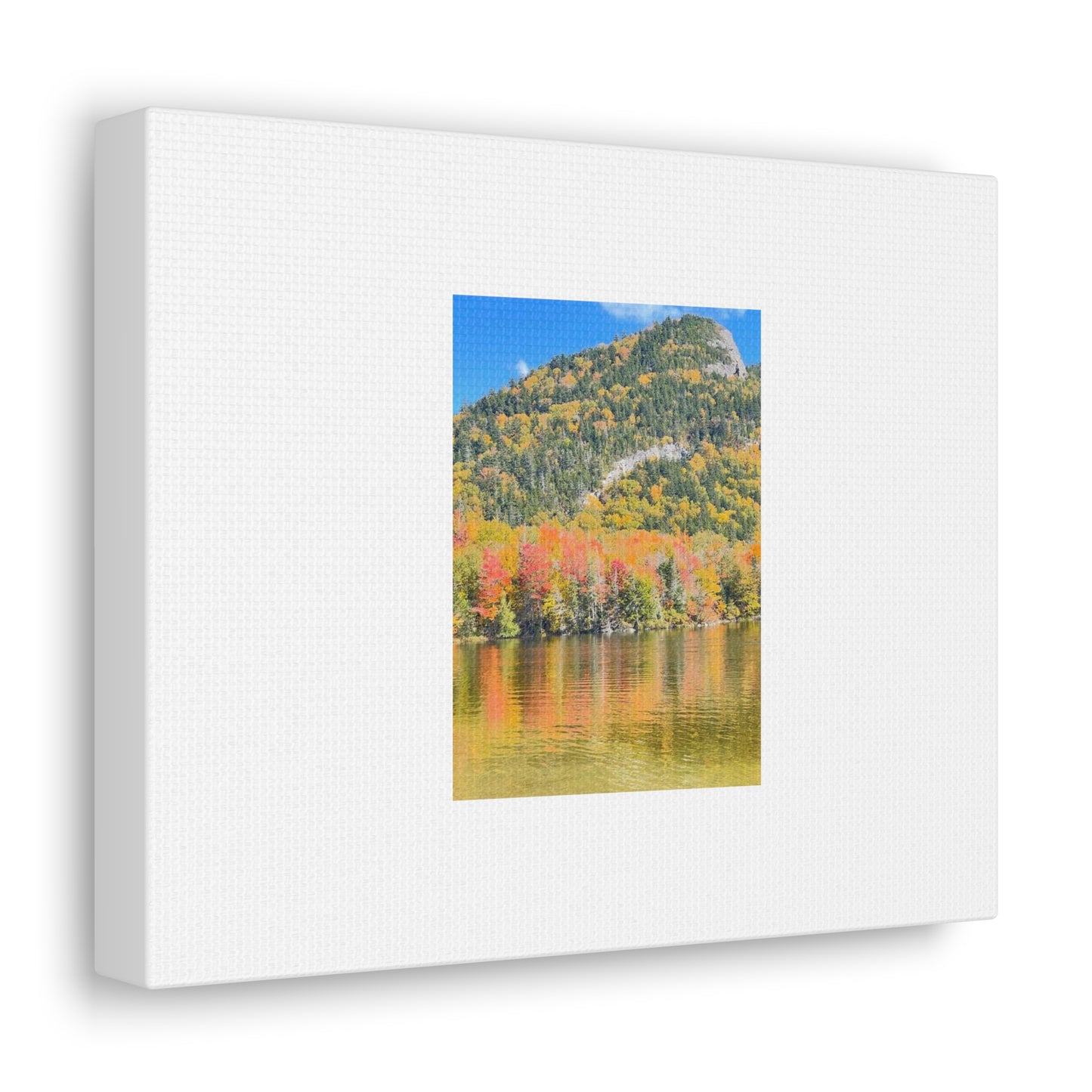 Nature Scenic White Canvas Gallery Wraps