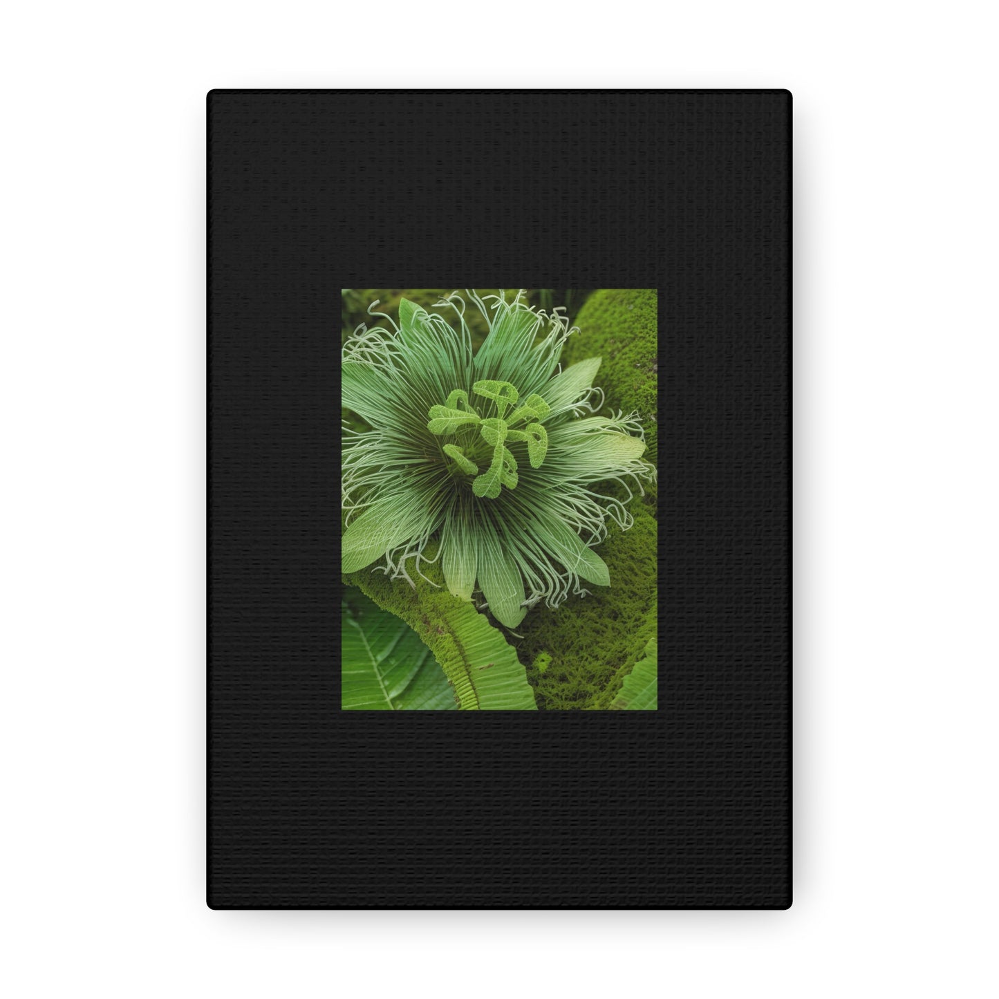 Artzy Green Flower Black Canvas Gallery Wraps