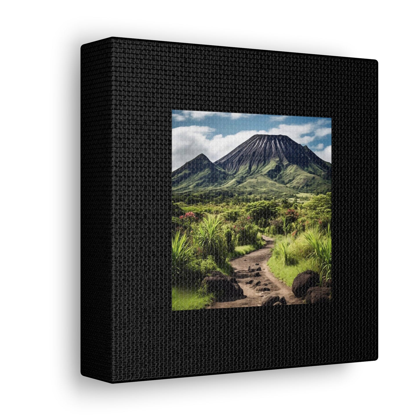 Scenic Black Canvas Gallery Wraps