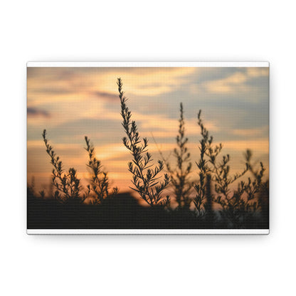 Nature Sunset Silhouette White Canvas Gallery Wraps