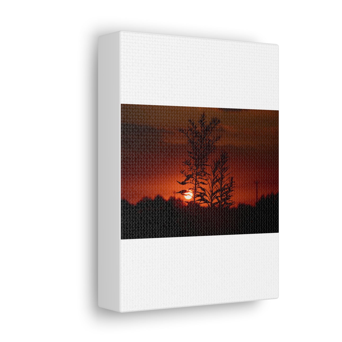 Nature Sunset Silhouette Black Canvas Gallery Wraps