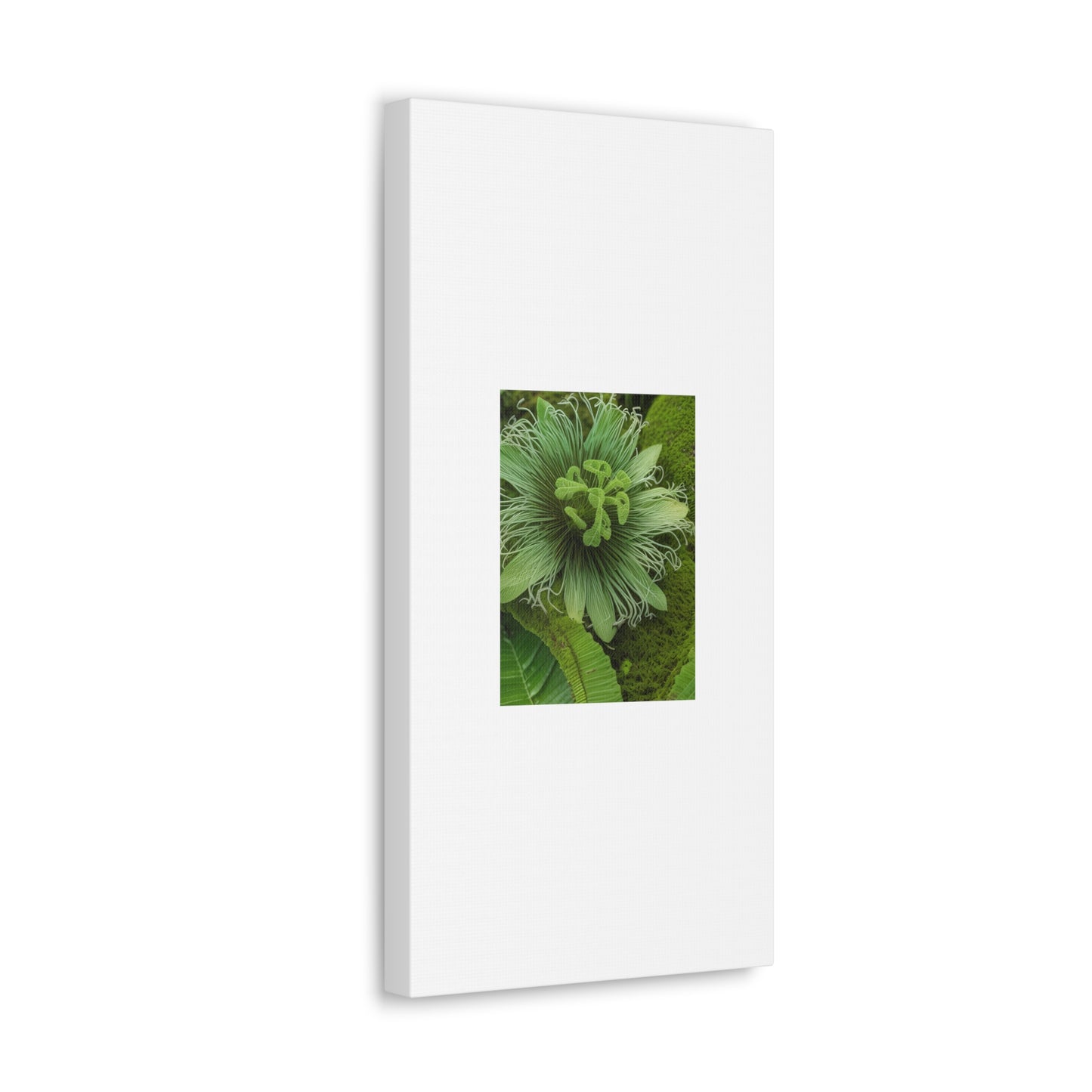 Artzy Green Flower White Canvas Gallery Wraps