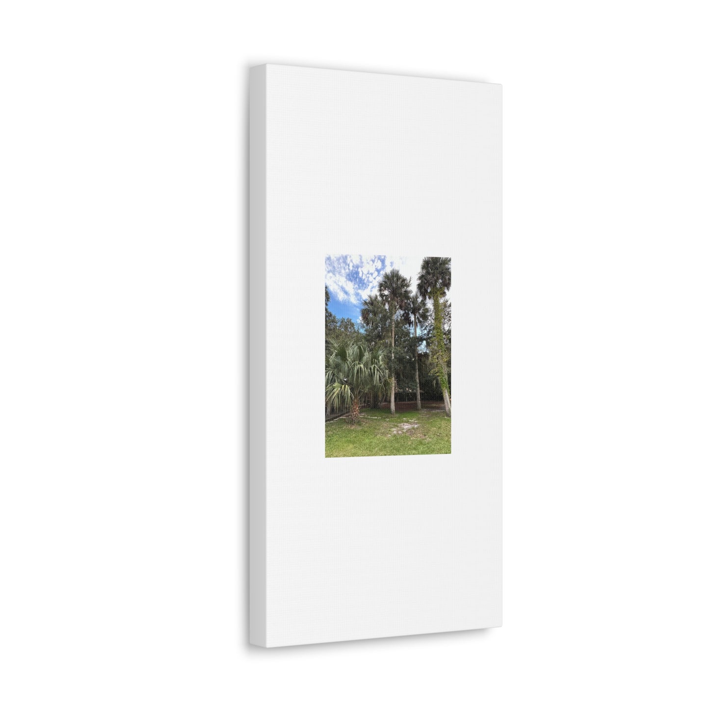 Matiby "Reals" Nature White Canvas Gallery Wraps