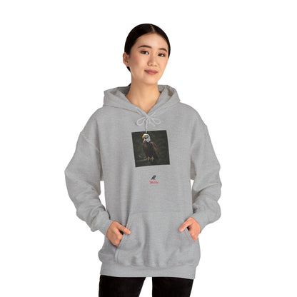 Beaks Unisex Heavy Blend™ Hooded Sweatshirt