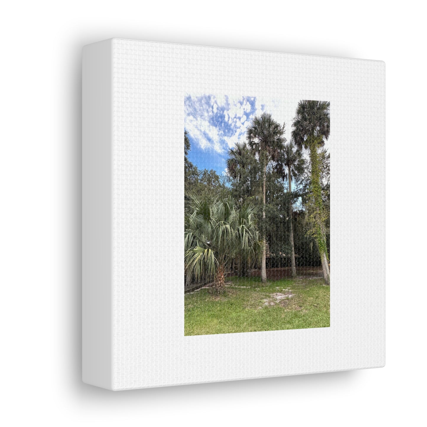 Matiby "Reals" Nature White Canvas Gallery Wraps