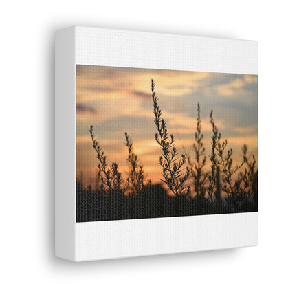 Nature Sunset Silhouette White Canvas Gallery Wraps