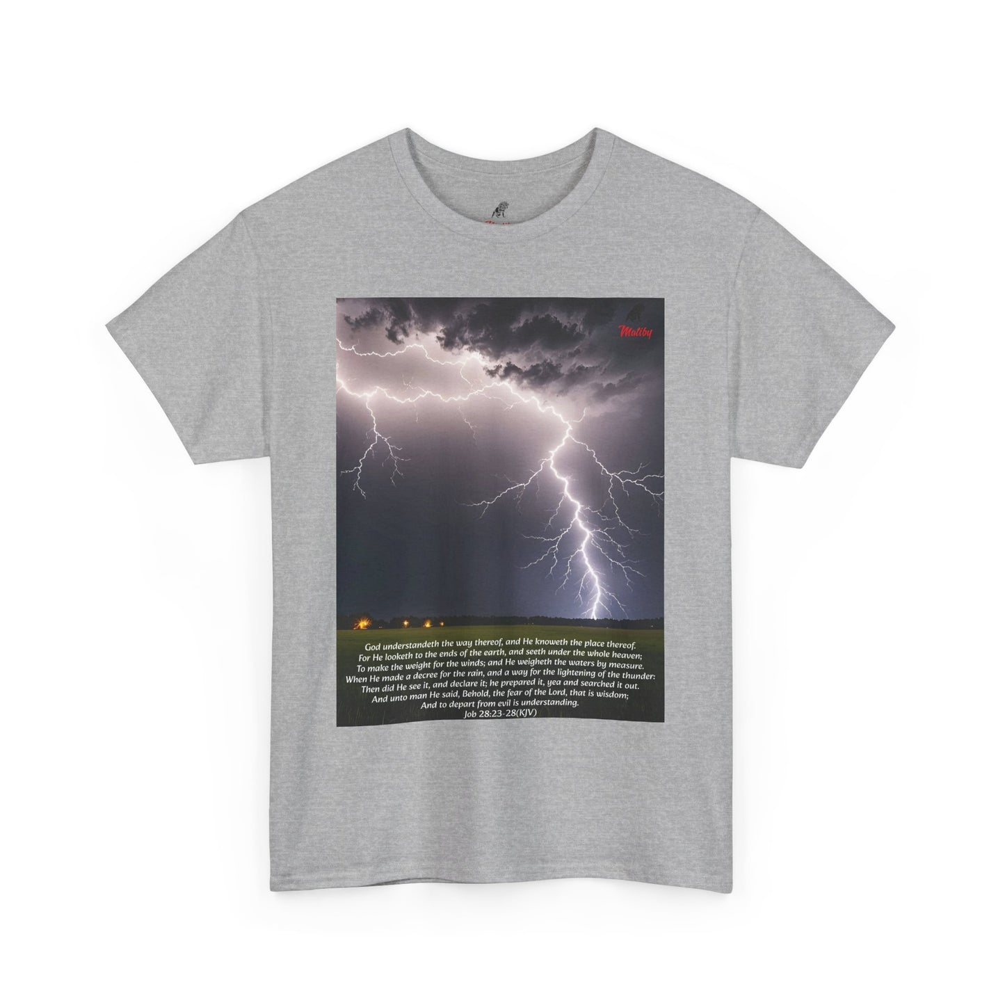 Lightning Style Fear of the Lord Unisex Heavy Cotton Tee