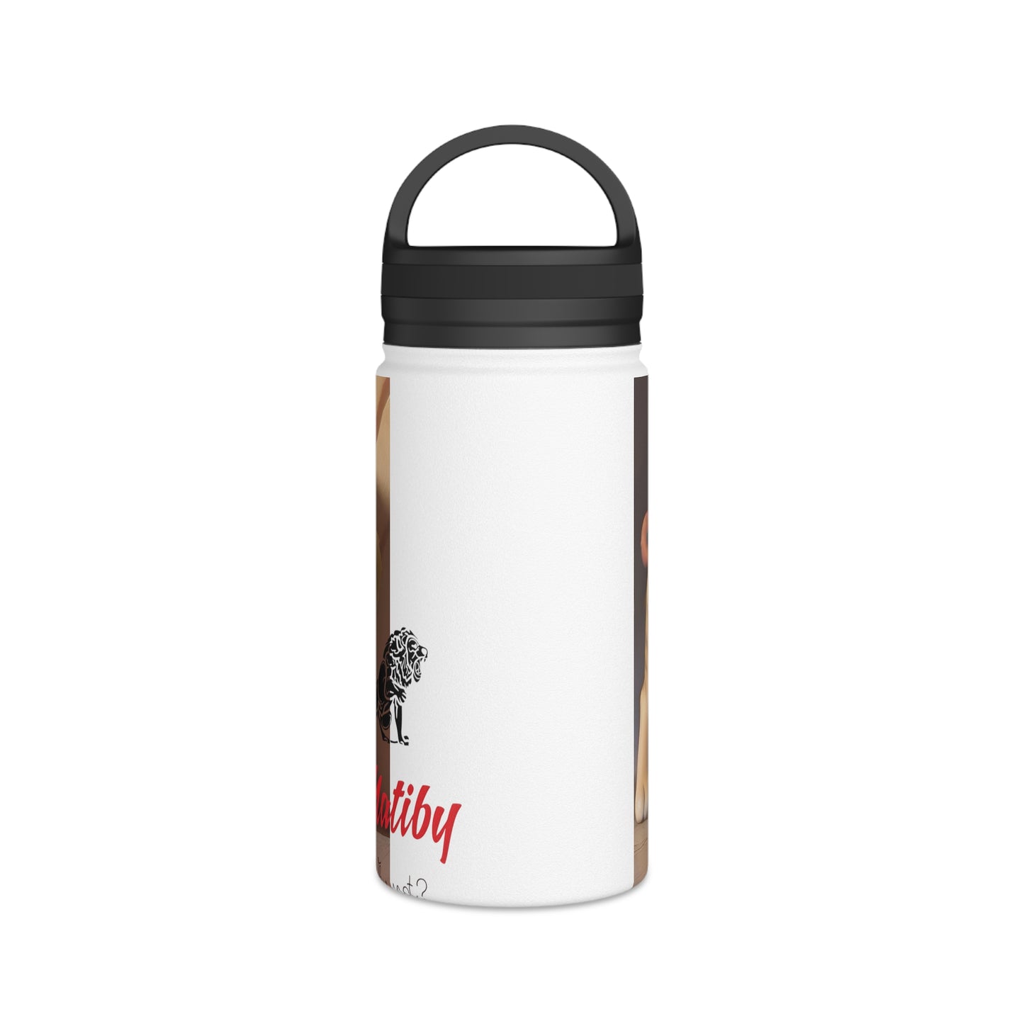 Artzy Stainless Steel Water Bottle, Handle Lid