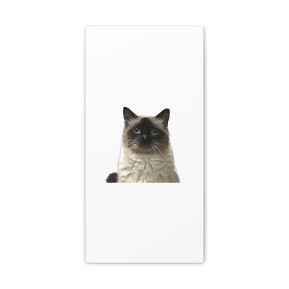 Cat White Canvas Gallery Wraps