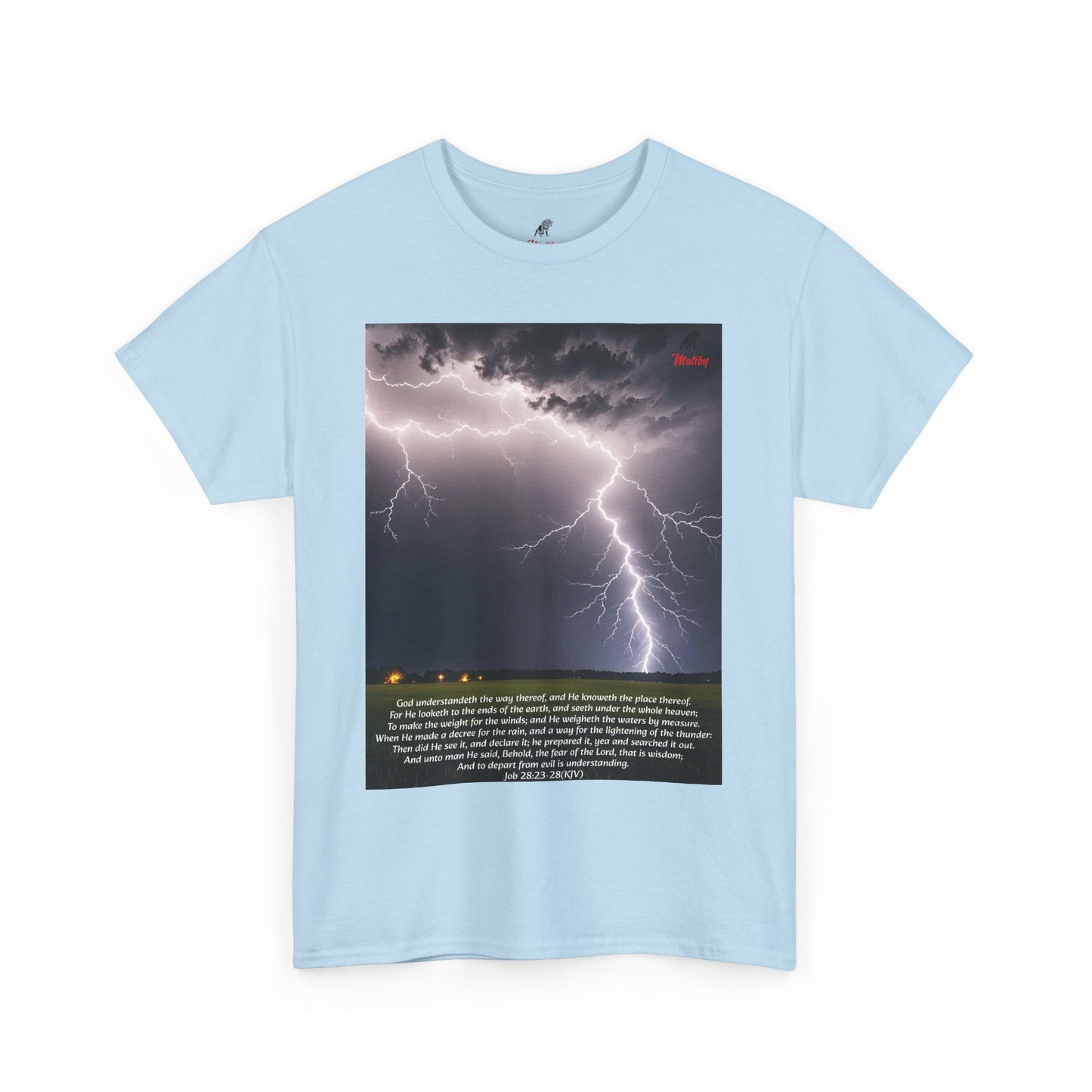 Lightning Style Fear of the Lord Unisex Heavy Cotton Tee