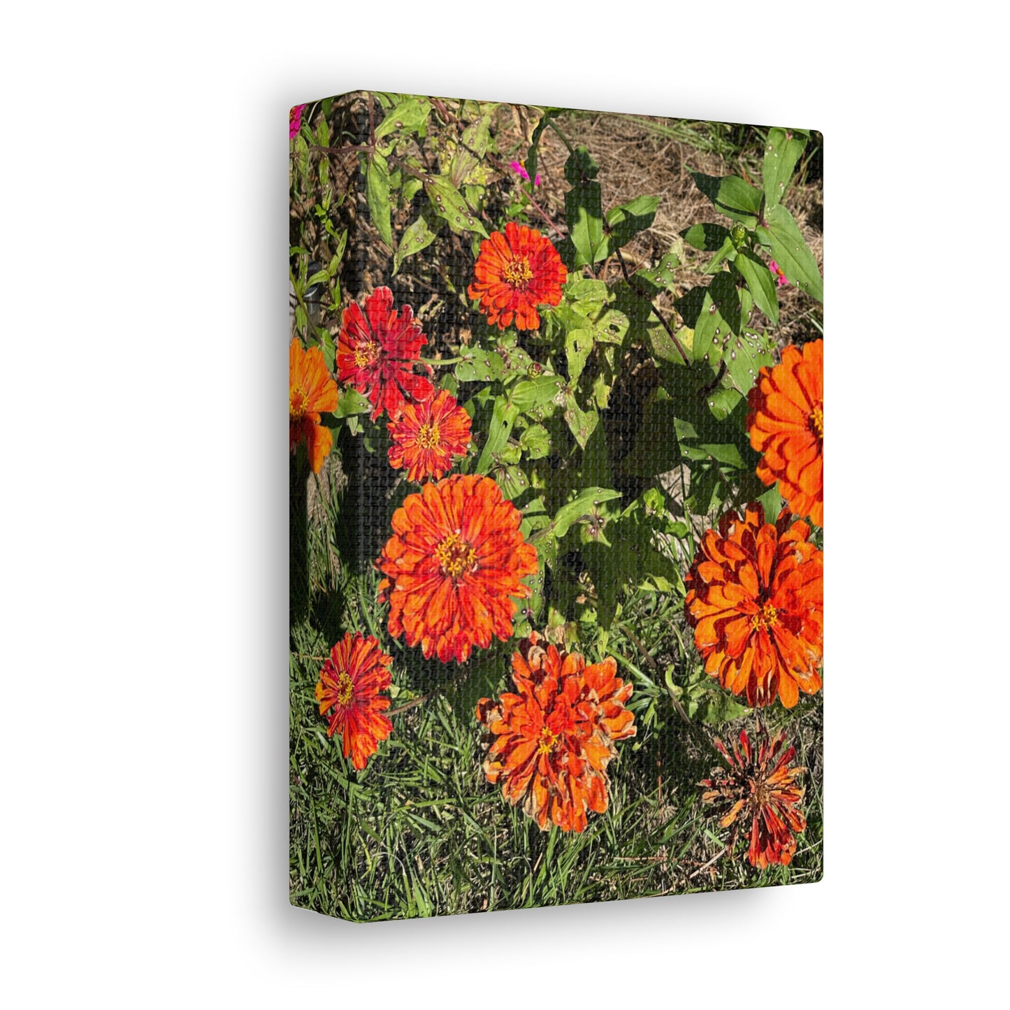 Matiby "Reals" Red Flowers Canvas Gallery Wraps