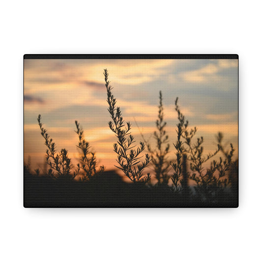 Nature Sunset Silhouette Black Canvas Gallery Wraps