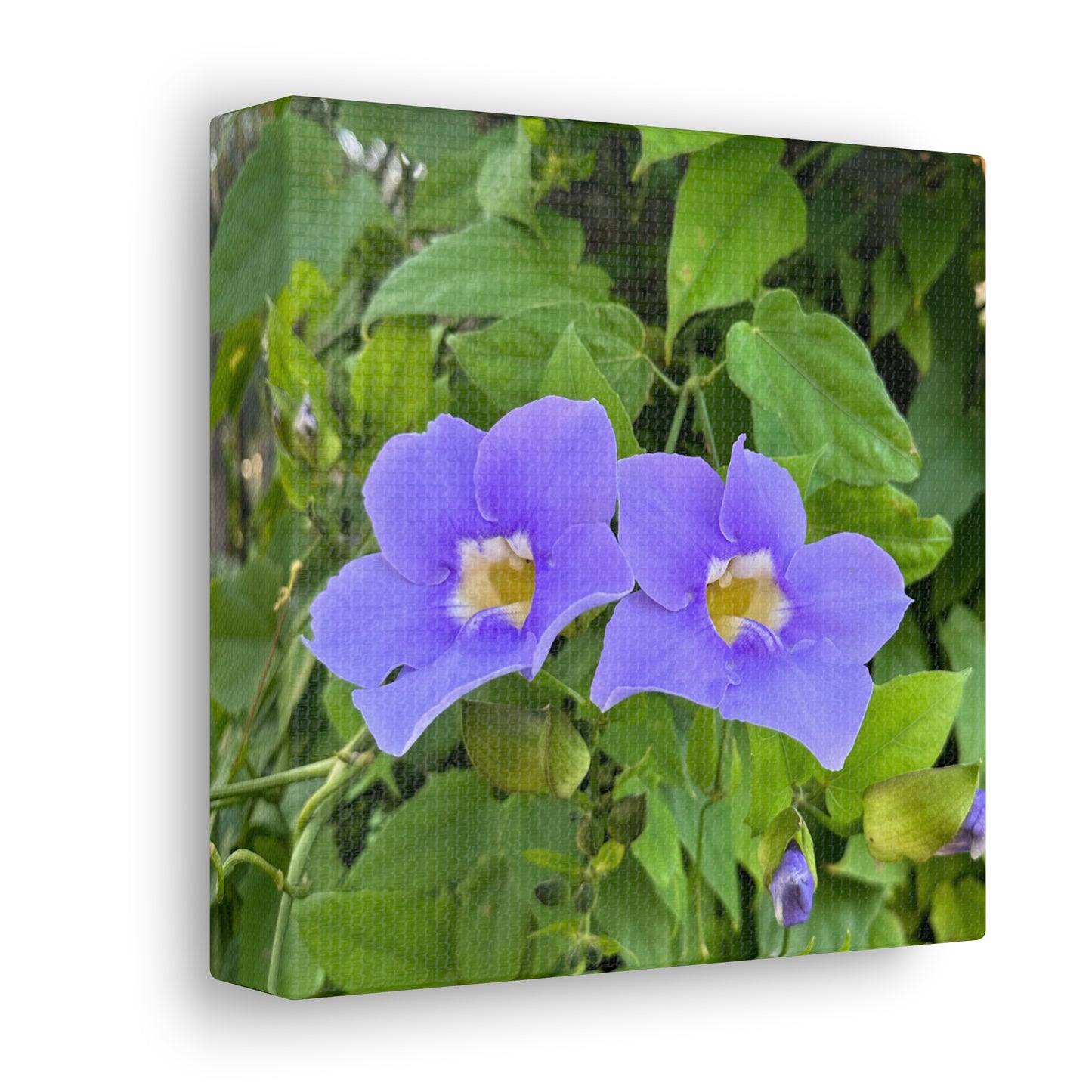 Matiby "Reals" Purple Flower Canvas Gallery Wraps